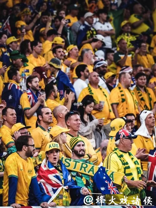 世界杯直播：全球球迷共同狂欢